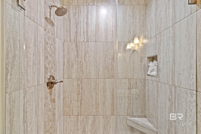 interior details featuring a tile shower