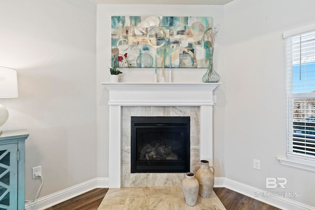 room details with wood-type flooring and a premium fireplace