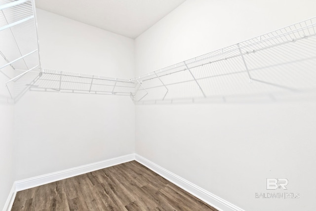 walk in closet with hardwood / wood-style flooring