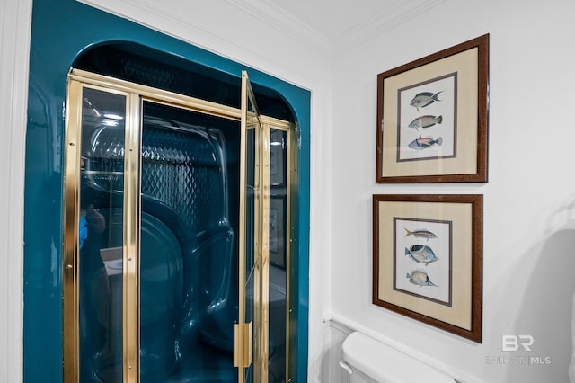 room details with toilet and crown molding