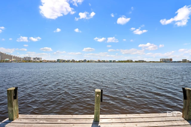 dock area with a water view