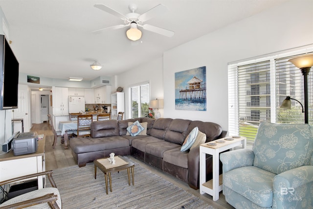 living room with ceiling fan and light hardwood / wood-style flooring