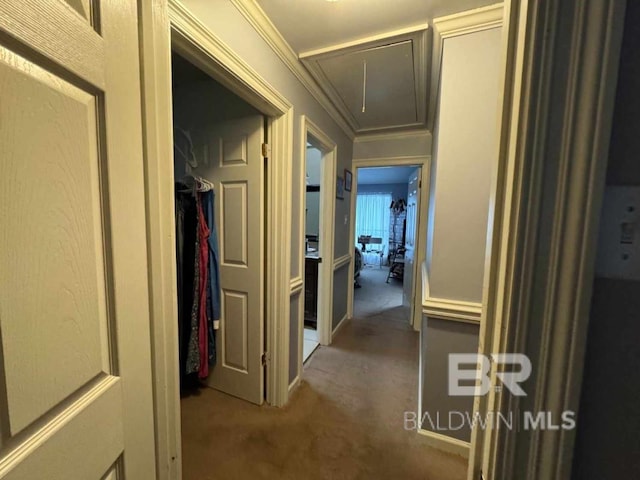 hall with carpet floors and ornamental molding