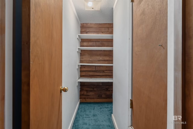 stairway featuring wooden walls, carpet flooring, and a textured ceiling