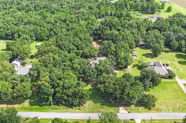 15031 Timber Ridge Dr, Loxley, AL 36551 - drone / aerial view with a view of trees
