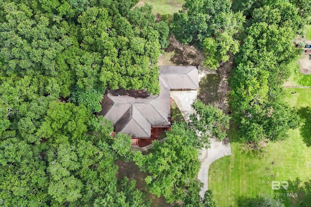 15031 Timber Ridge Dr, Loxley, AL 36551 - bird's eye view