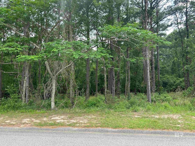 0 Sweetbriar Ln, Eight Mile AL, 36613 land for sale