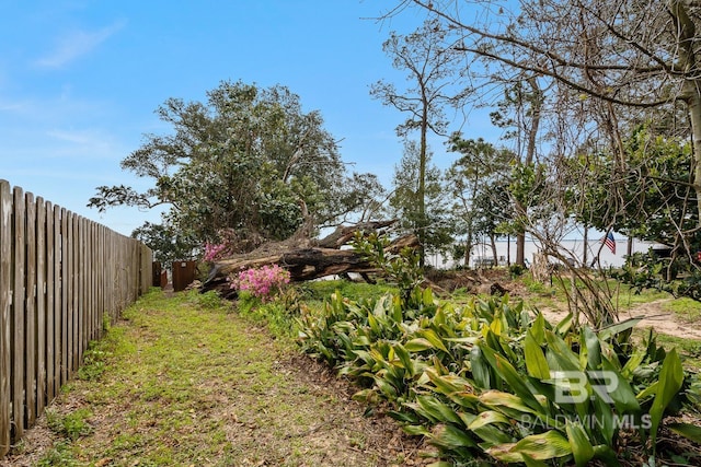 view of yard featuring a fenced backyard