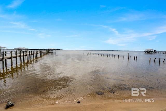 dock area with a water view