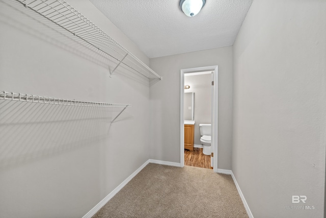 20 Summer Oaks Dr, Daphne, AL 36526 - spacious closet featuring carpet