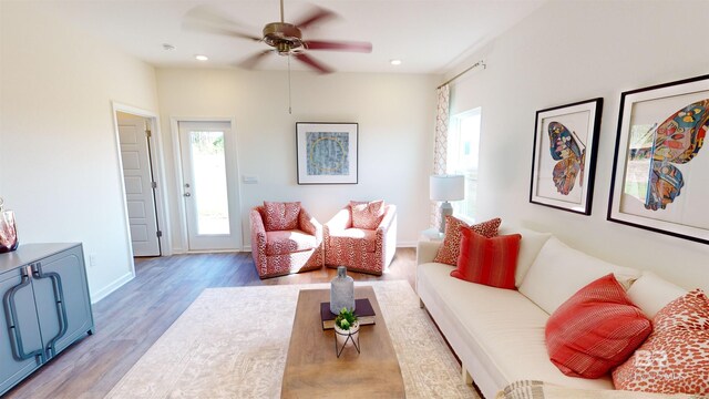 living room with ceiling fan and light wood-type flooring