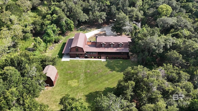 drone / aerial view