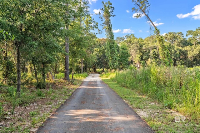 view of road