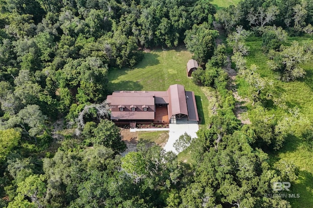 bird's eye view