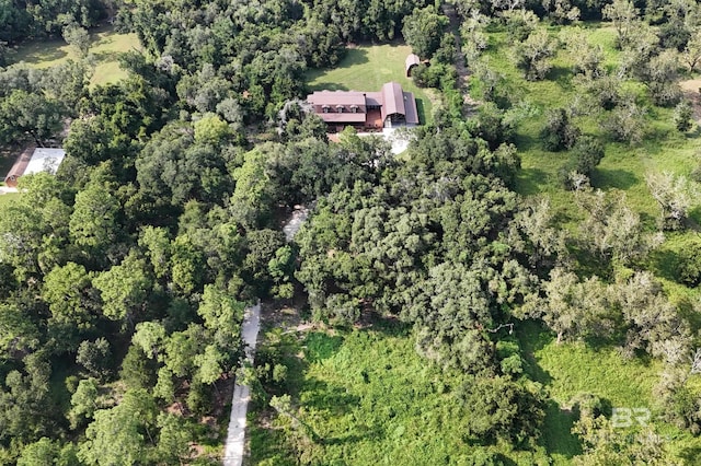 bird's eye view