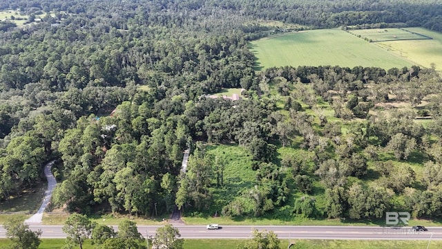 bird's eye view with a rural view