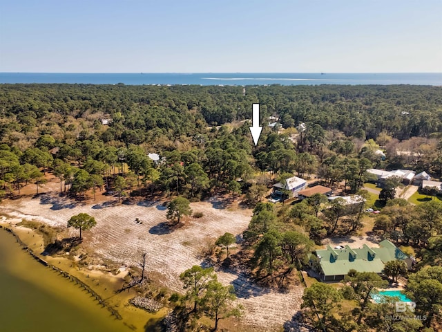 aerial view with a view of trees and a water view