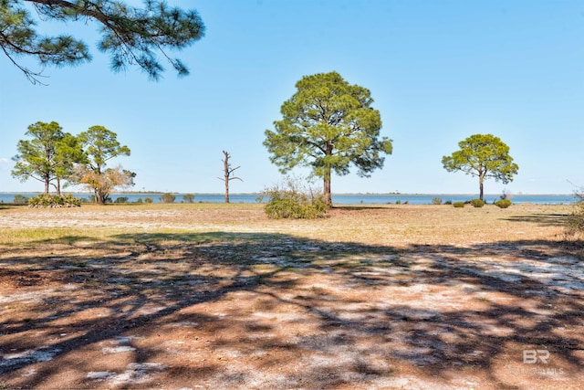 view of yard with a water view