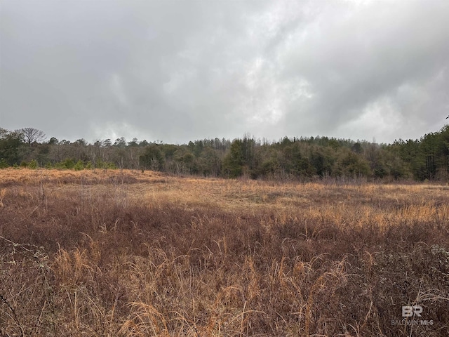 529 Sand Bottom Rd, Peterman AL, 36471 land for sale