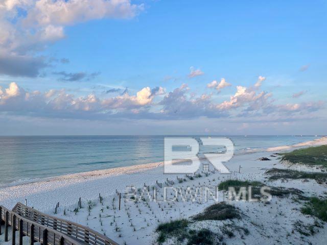 water view featuring a beach view