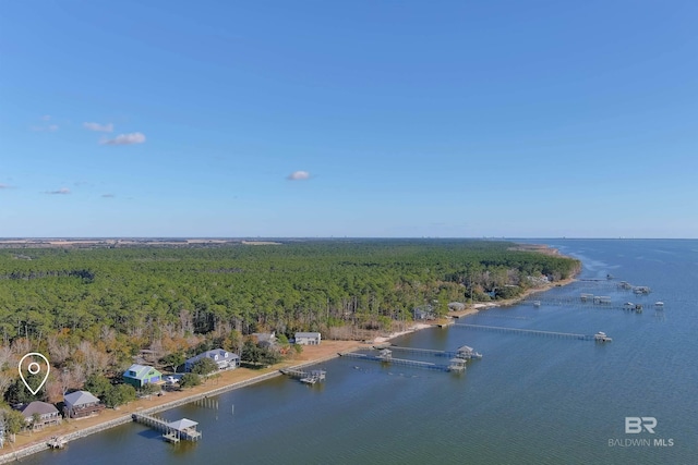 9581 S Bay Rd, Foley, AL 36535 - bird's eye view featuring a water view