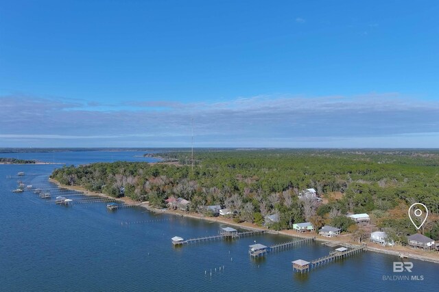9581 S Bay Rd, Foley, AL 36535 - birds eye view of property with a water view