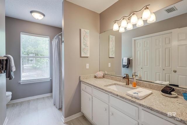 9581 S Bay Rd, Foley, AL 36535 - bathroom featuring vanity, hardwood / wood-style flooring, a wealth of natural light, and a textured ceiling