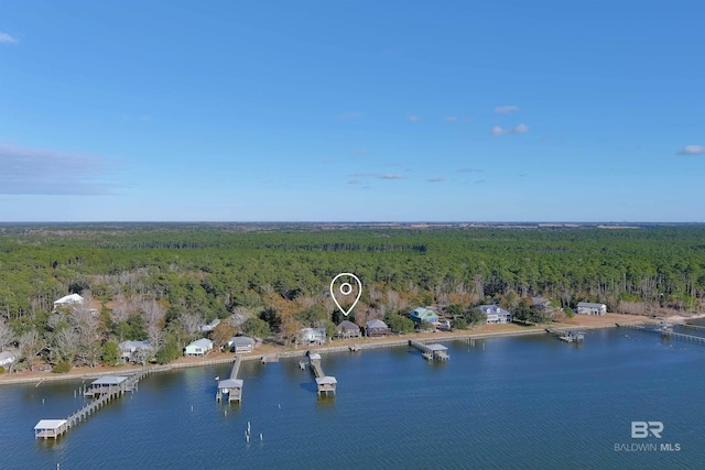 9581 S Bay Rd, Foley, AL 36535 - bird's eye view featuring a water view