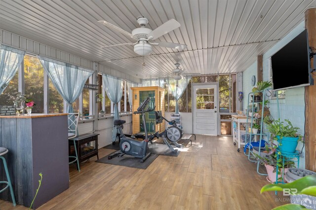 exercise room featuring ceiling fan and hardwood / wood-style flooring