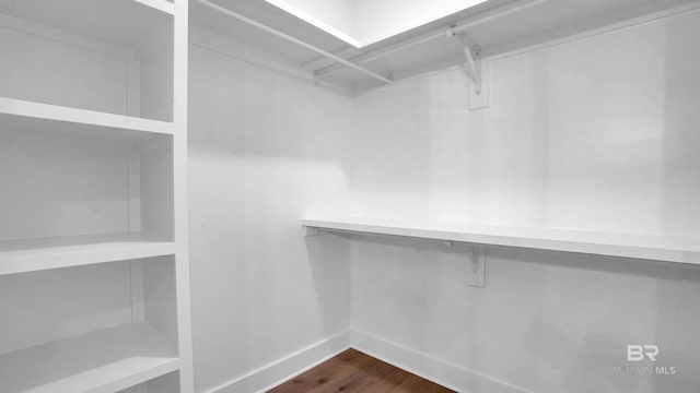 spacious closet with dark hardwood / wood-style flooring