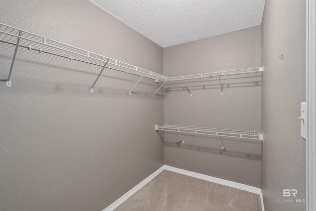 11097 Pontchartrain Loop, Daphne, AL 36526 - walk in closet with carpet floors