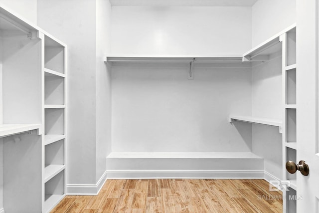 spacious closet featuring wood finished floors