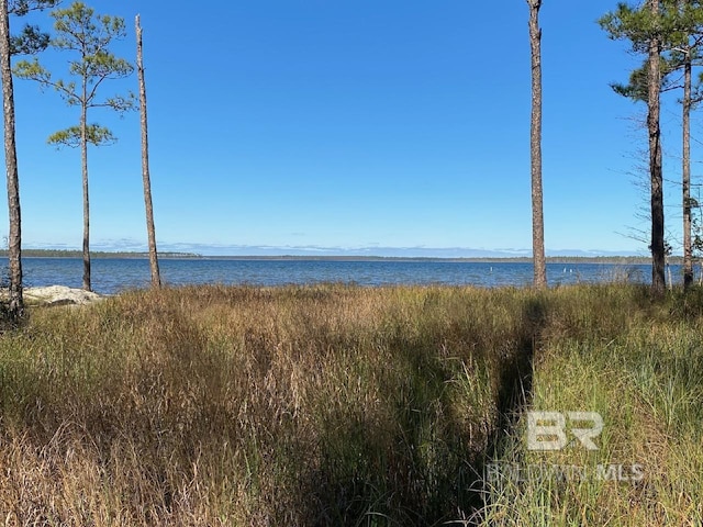 Listing photo 2 for 25525 W Perdido Ave, Orange Beach AL 36561