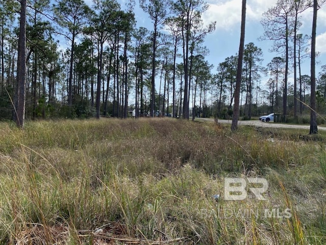 Listing photo 3 for 25525 W Perdido Ave, Orange Beach AL 36561