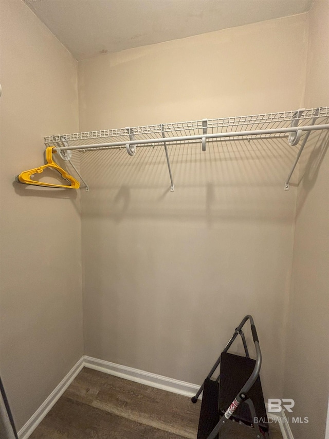 spacious closet with wood-type flooring