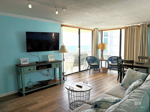 505 E Beach Blvd Unit 5-C, Gulf Shores, AL 36542 - living area featuring wood finished floors, rail lighting, a wall of windows, a textured ceiling, and crown molding
