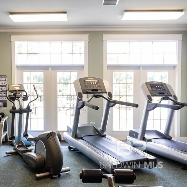 800 Carrozza Ln, Foley, AL 36535