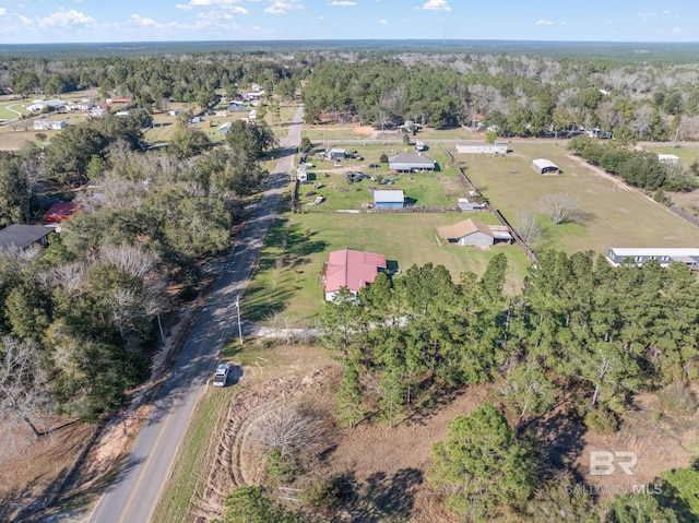 bird's eye view with a view of trees