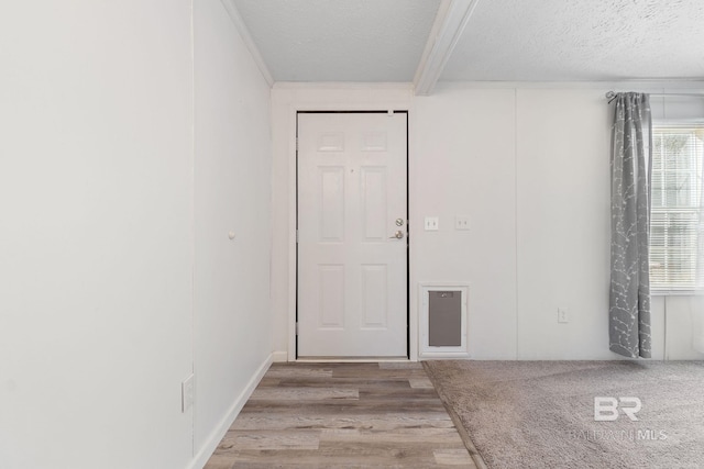 foyer featuring a textured ceiling and wood finished floors