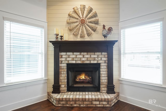 details featuring hardwood / wood-style floors and a fireplace