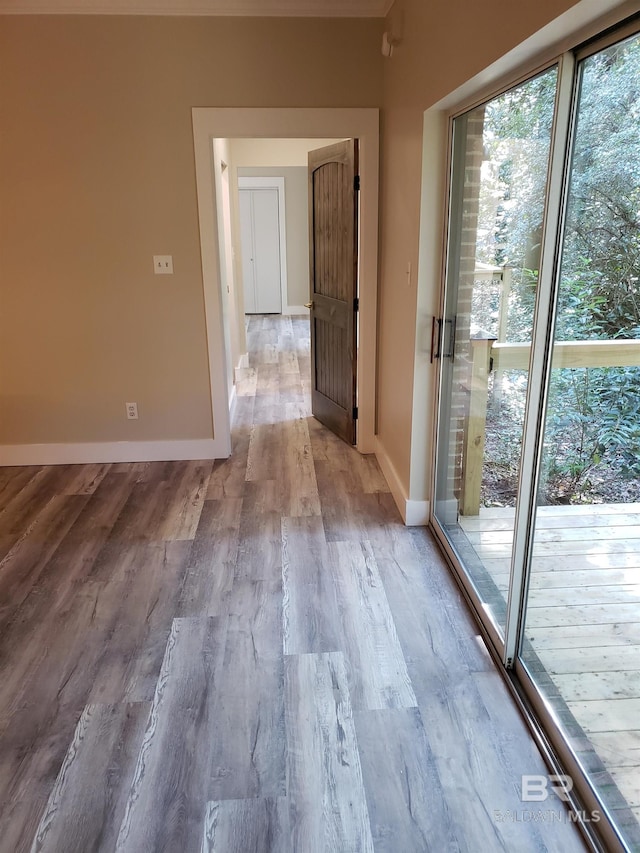 unfurnished room with light wood-type flooring