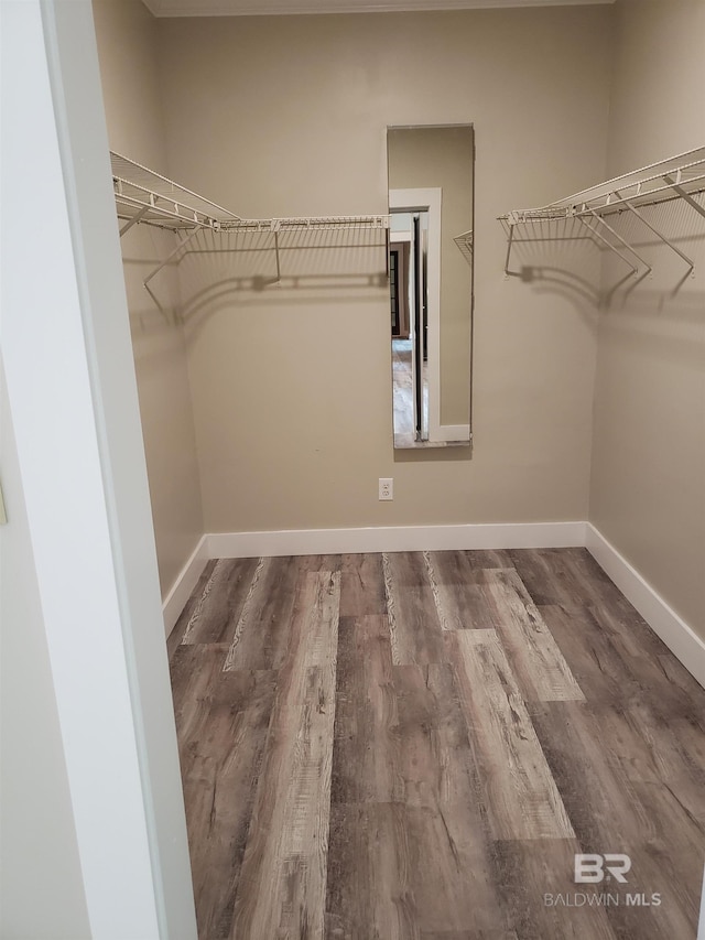 spacious closet featuring wood-type flooring