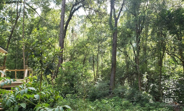 view of local wilderness