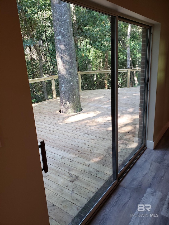 entryway featuring wood-type flooring