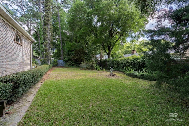 view of yard