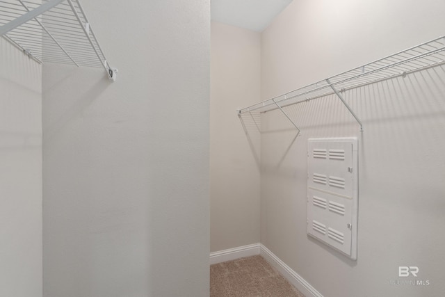 6877 Spaniel Dr Unit A, Spanish Fort, AL 36527 - spacious closet with carpet