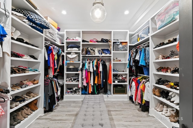 walk in closet with light wood-type flooring