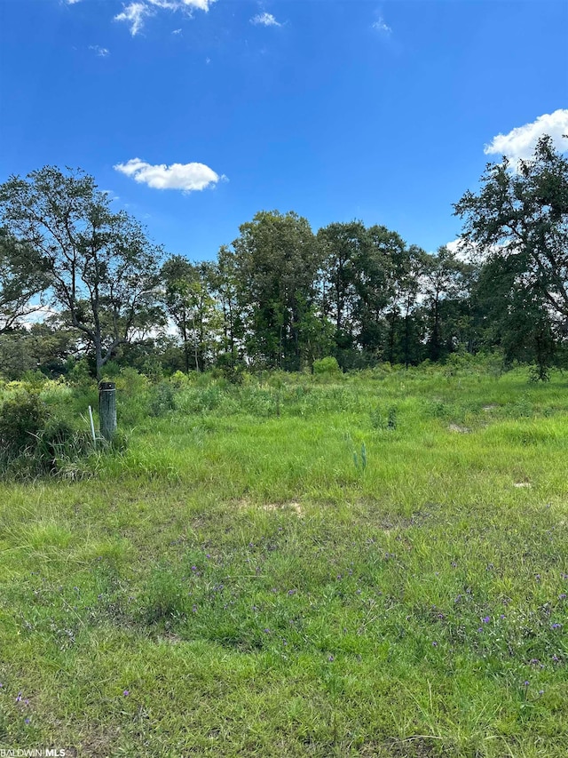 0 Hampton Rd, Mobile AL, 36608 land for sale