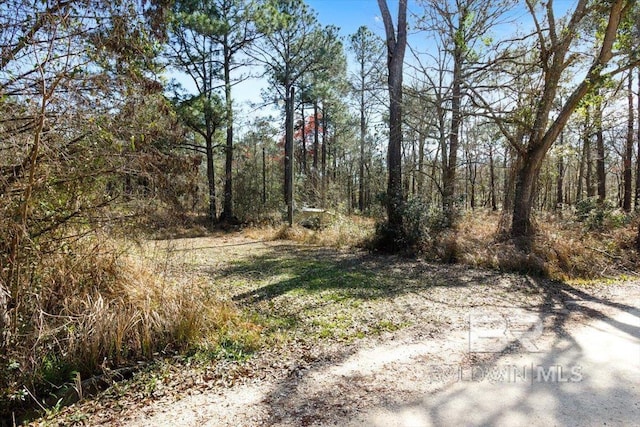 16045 Williams Rd, Coden AL, 36523 land for sale