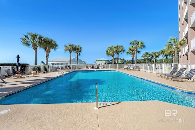 view of pool featuring a patio